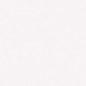 PC1051 Prismacolor Warm Grey 20%