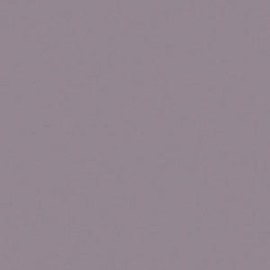 PC1056 Prismacolor Warm Grey 70%