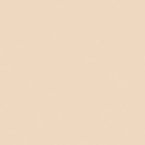 PC1083 Prismacolor Putty Beige