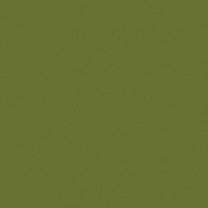 PC1097 Prismacolor Moss Green