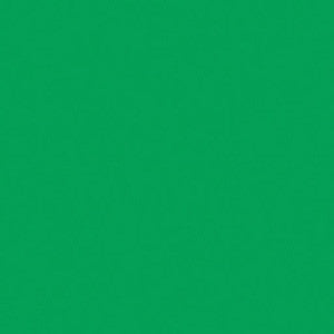 PC909 Prismacolor Grass Green