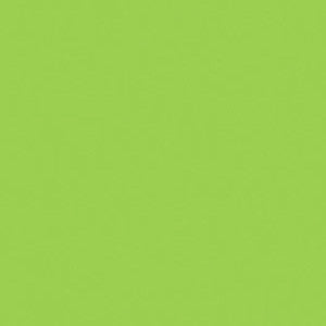 PC913 Prismacolor Spring Green