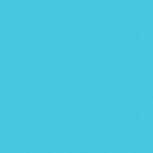 PC919 Prismacolor Non Phot Blue