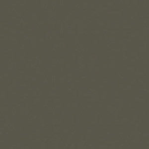 PC946 Prismacolor Dark Brown
