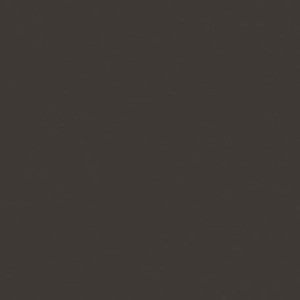 PC947 Prismacolor Dark Umber