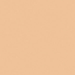 PC997 Prismacolor Beige