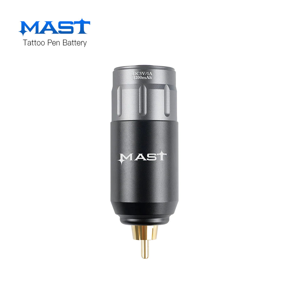 Mast Wireless Battery (P113)
